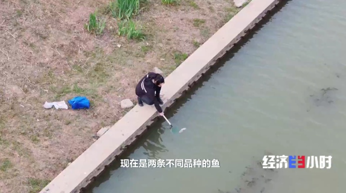 香港六创论坛